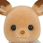 ひーちきんの画像