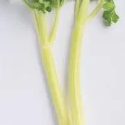 鯖津の画像