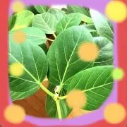ra⭐︎の画像