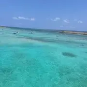 ganmoの画像