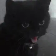 ㅊㅇの画像
