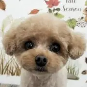 Yuko N