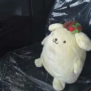 ぷりん プロフ必読の画像