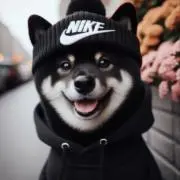 ONEの画像