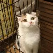 Biscuit.*の画像