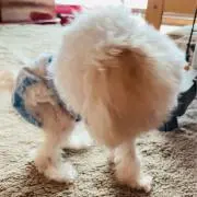 ♡COCO♡