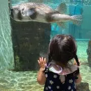 とんとん