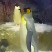 のべるの画像