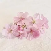 Hell☻の画像