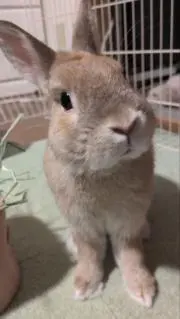 ペンギン♡★プロフ確認願います★