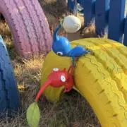 101の画像