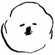 MAMBOの画像