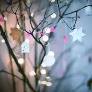 merryの画像