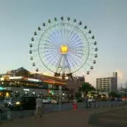 ゆうちの画像