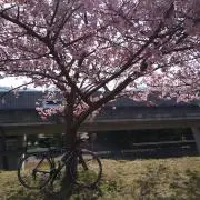 wind24566の画像