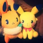 綾の画像