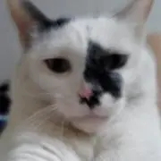 テンテン
