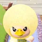 ぼすみの画像