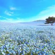 yui⭐︎の画像