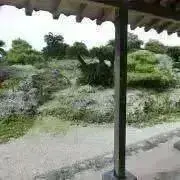 ねむの画像