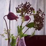 mykの画像