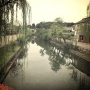 トンの画像