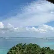 はる☆(*^▽^*)の画像