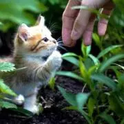 さちこ☆の画像