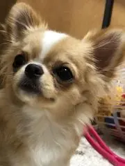 ♪あきちゃん♪