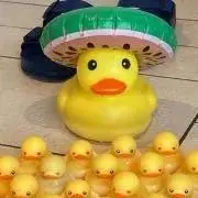 きゃねの画像