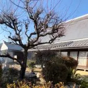 クヌギの画像