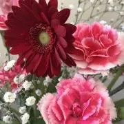 フラワーの画像