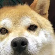 まるん