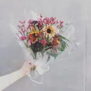 NIKOの画像