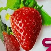 3児mamanの画像