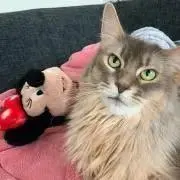 ミニー