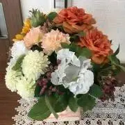 もちこの画像