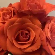 きらりママの画像