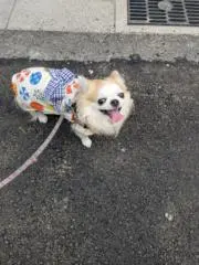 まぁむ堂の画像