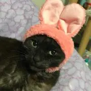にゃじら