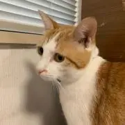 むー