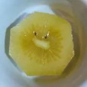 おかさんの画像