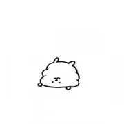 みの画像
