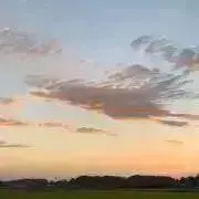 ことの画像