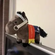 chim【次回発送7月中旬】の画像