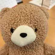 Hiipuuの画像