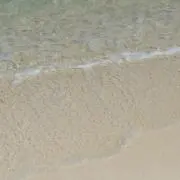 あり