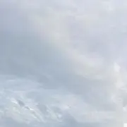 きいの画像