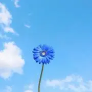 mymyの画像