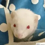 ゆう
